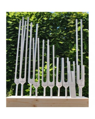 The 12 tuning forks of the tree of Life, Kabbalah, Sephiroth