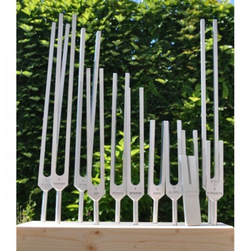 Tuning forks, therapeutic